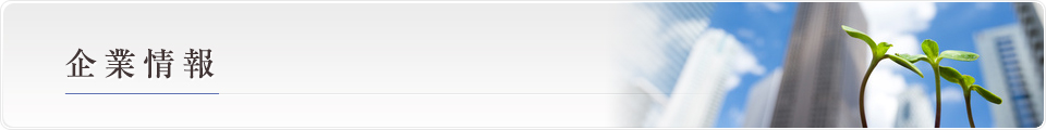 企業情報  